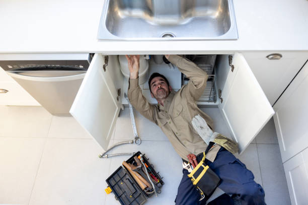 Best Plumbing Inspection Services  in Tidmore Bend, AL