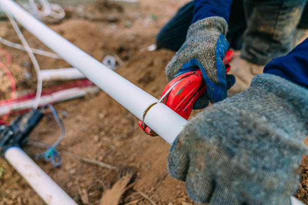 Best Local Plumber Services  in Tidmore Bend, AL